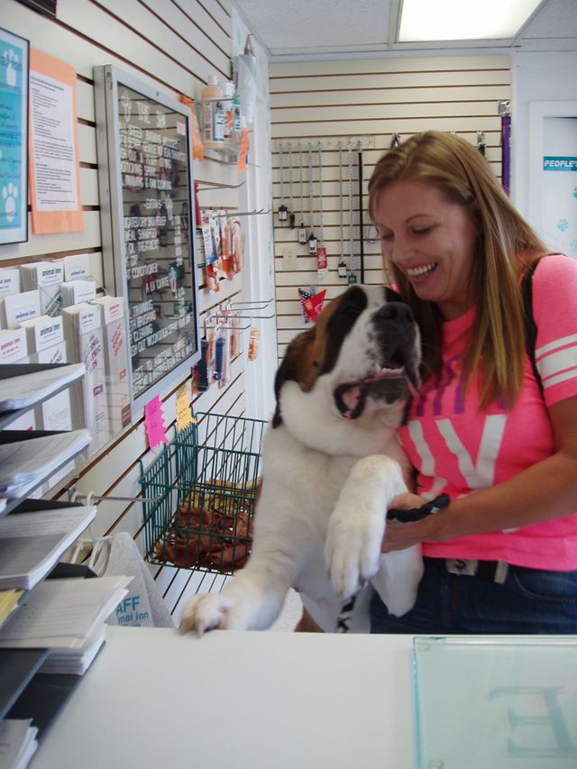 Local Pet Hotel Las Vegas Strip NV The Animal Inn